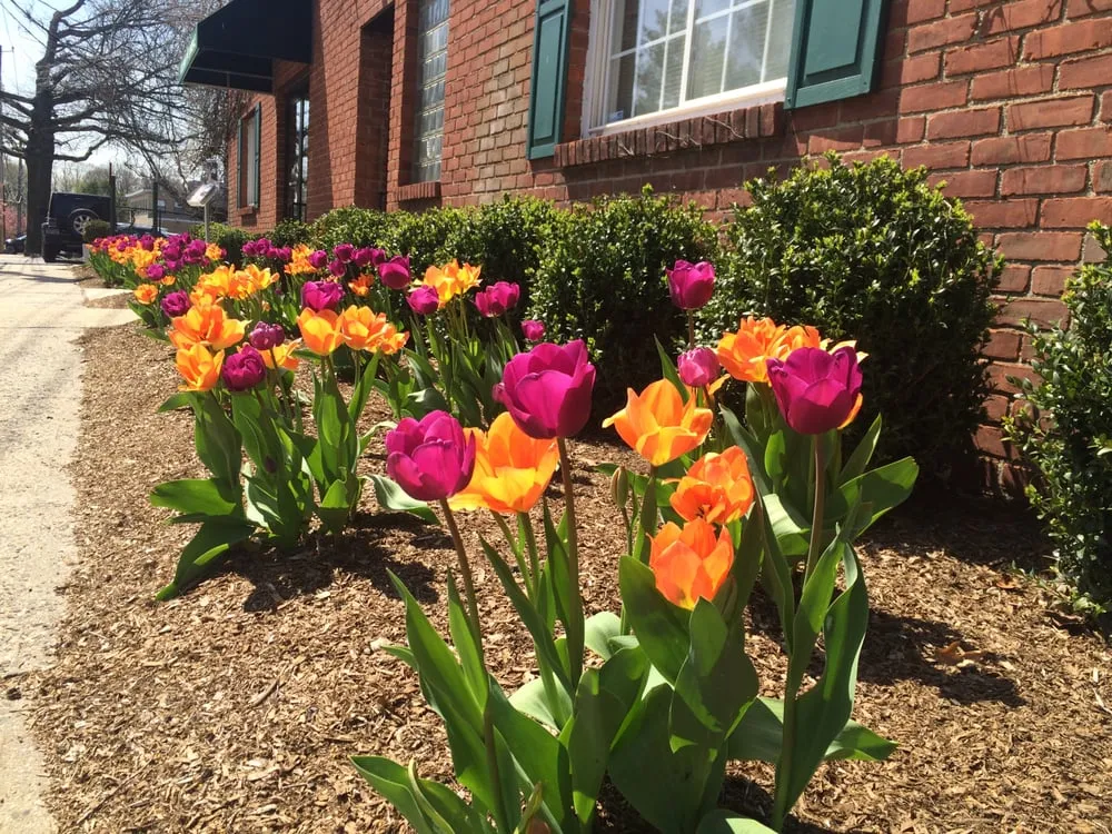 Reliable outdoor landscaping in Yonkers, NY - Emil Yedowitz Landscaping and Irrigation Solutions