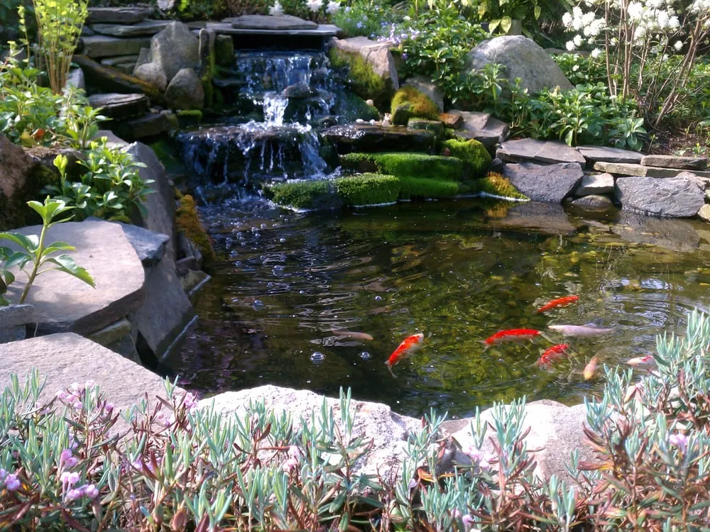 Local yard maintenance in Yonkers, NY by Emil Yedowitz Landscaping and Irrigation Solutions