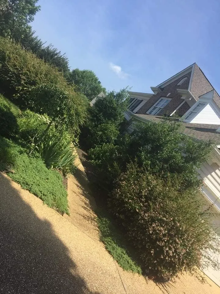 Reliable yard maintenance for outdoor upgrades across Williamsburg, VA - Emilio Landscaping