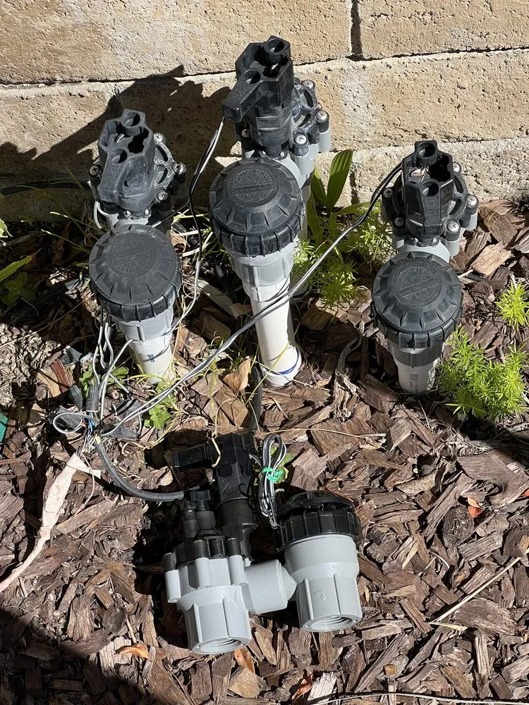 Trusted landscaping services in Westminster, CA by Emilio Saldivar Landscape Expert Tree Care Responsible Service