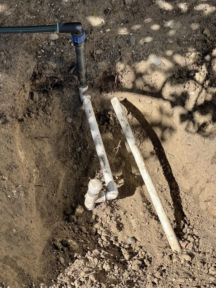 Expert garden landscaping in Westminster, CA - Emilio Saldivar Landscape Expert Tree Care Responsible Service