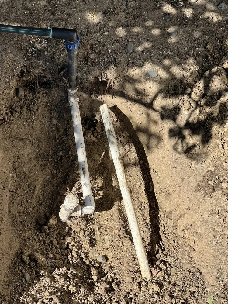 Expert landscaping services for residential properties in Westminster, CA by Emilio Saldivar Landscape Expert Tree Care Responsible Service