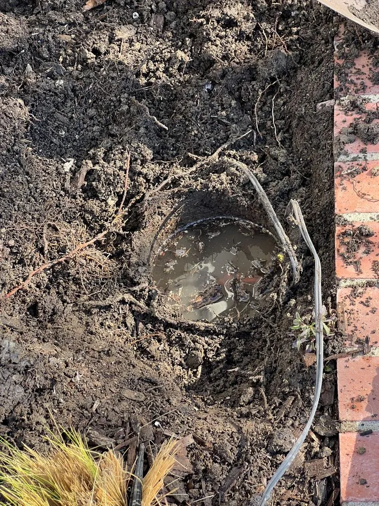 Affordable landscape design in Westminster, CA - Emilio Saldivar Landscape Expert Tree Care Responsible Service