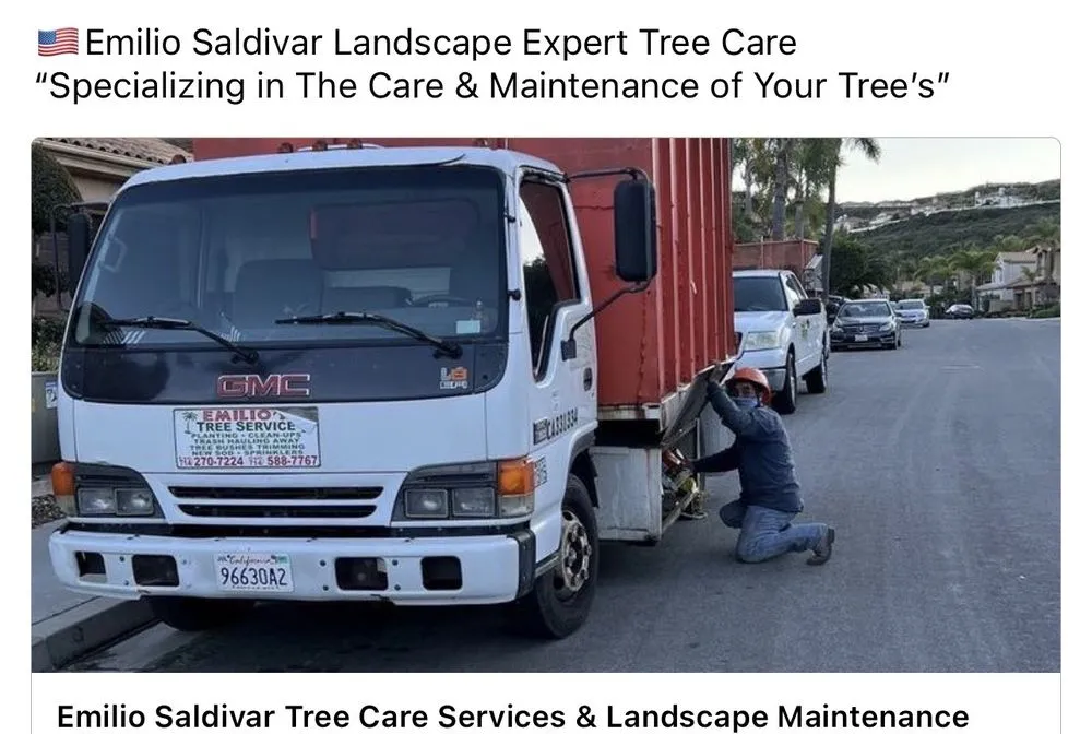 Top-rated lawn care service in Westminster, CA - Emilio Saldivar Landscape Expert Tree Care Responsible Service