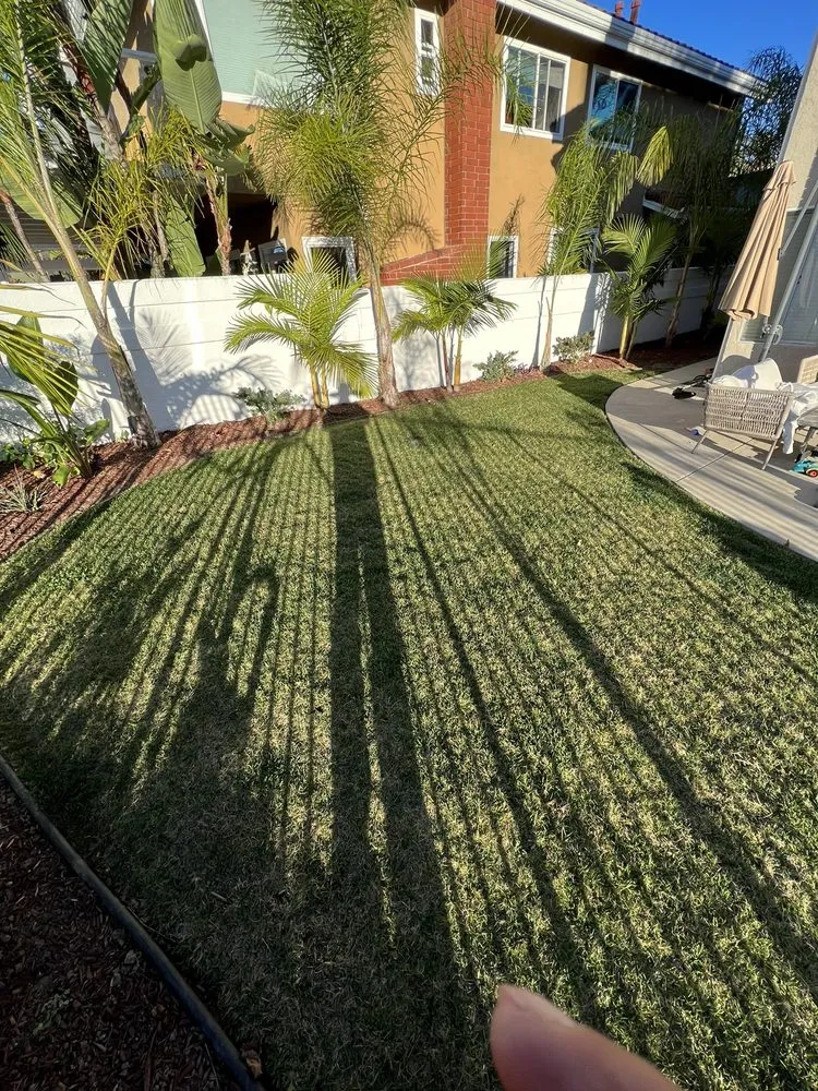 Reliable lawn mowing service for year-round maintenance in Westminster, CA by Emilio Saldivar Landscape Expert Tree Care Responsible Service