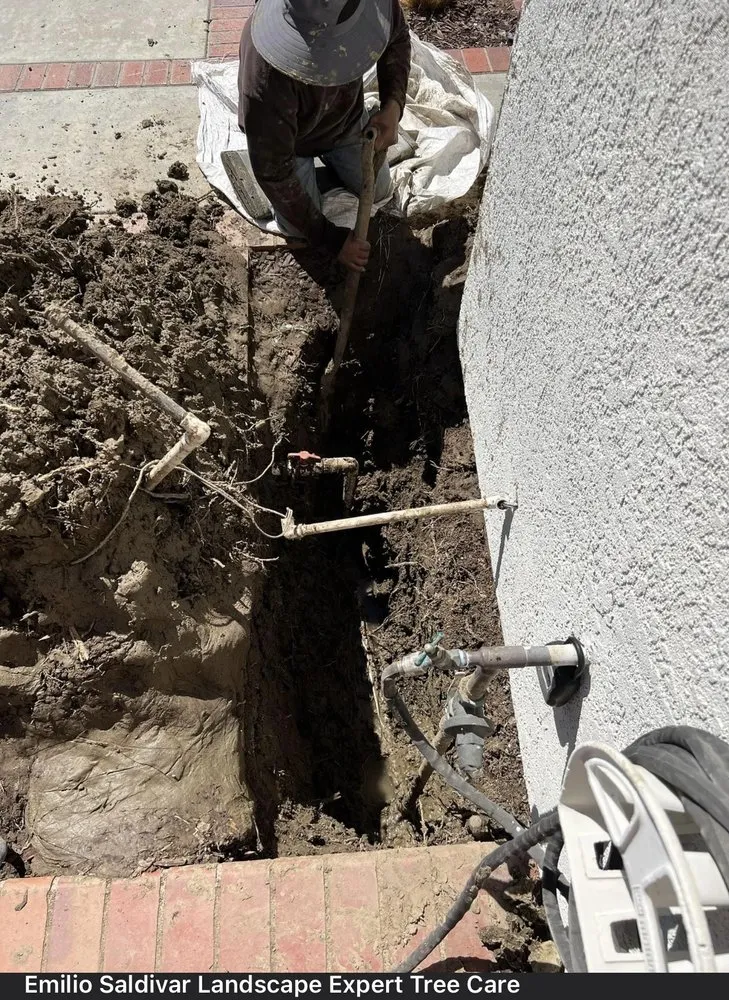 Local yard maintenance for beautiful yards across Westminster, CA - Emilio Saldivar Landscape Expert Tree Care Responsible Service