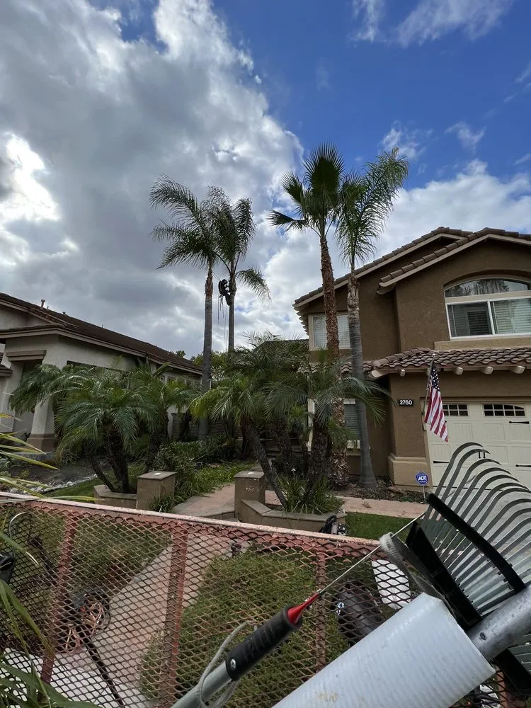 Local landscaping services in Westminster, CA by Emilio Saldivar Landscape Expert Tree Care Responsible Service