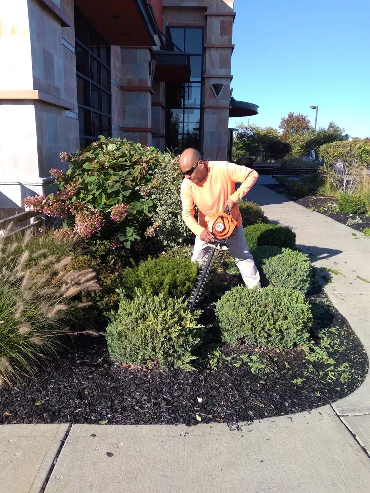 Expert landscaping services experts serving Columbus, OH - Emilio's Landscaping & Lawn Care