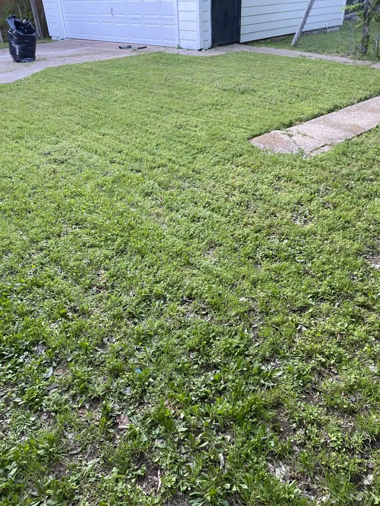 Expert yard maintenance in Dallas, TX by Emilio’s Landscaping