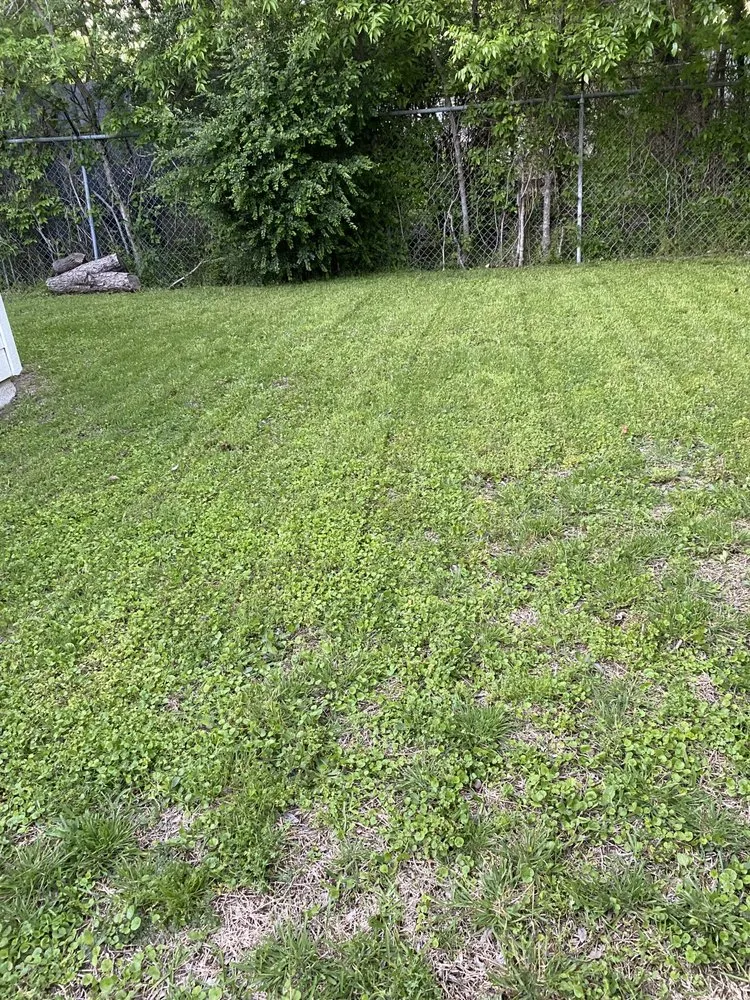 Reliable yard maintenance for homes in Dallas, TX by Emilio’s Landscaping