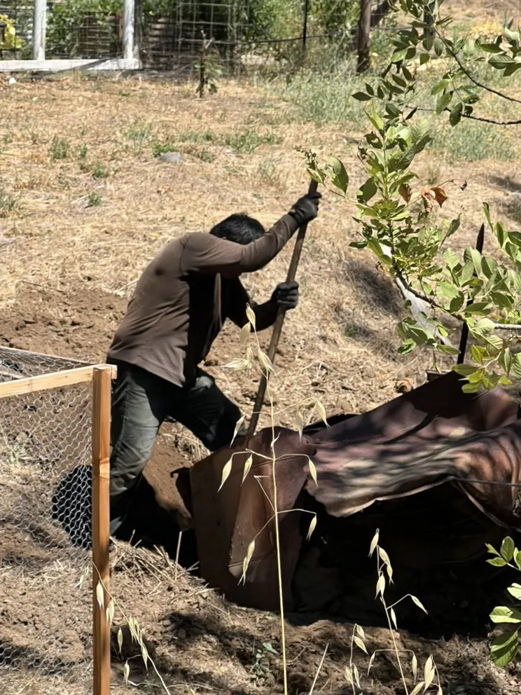 Local outdoor landscaping in Palo Cedro, CA - Emilio’s Yard Maintenance