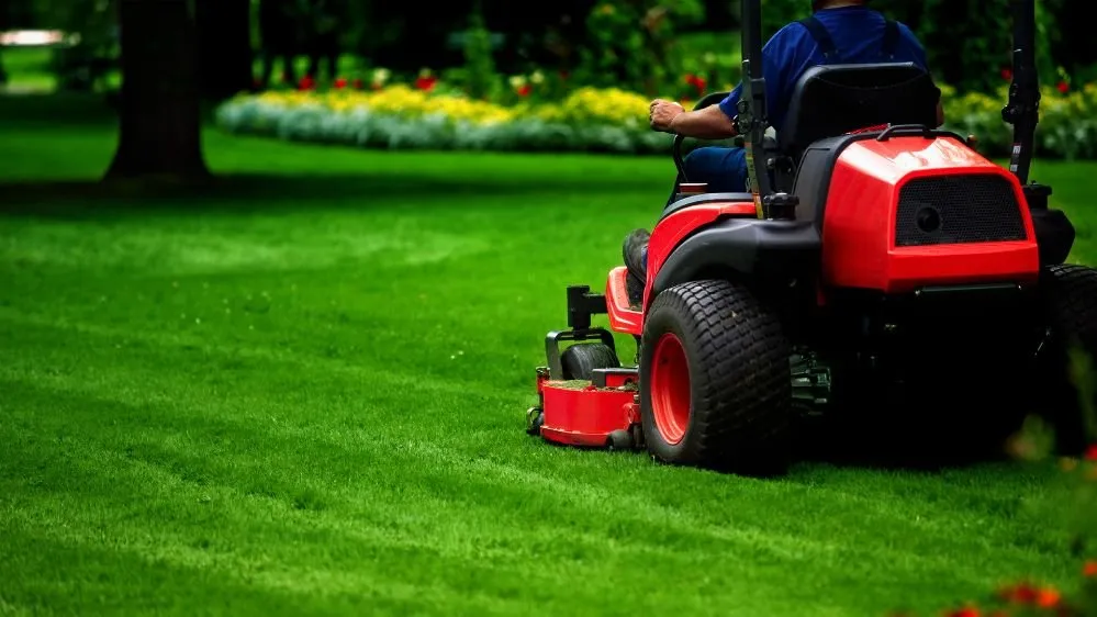 Reliable yard maintenance for beautiful yards in Hayesville, NC by Emily's Elves