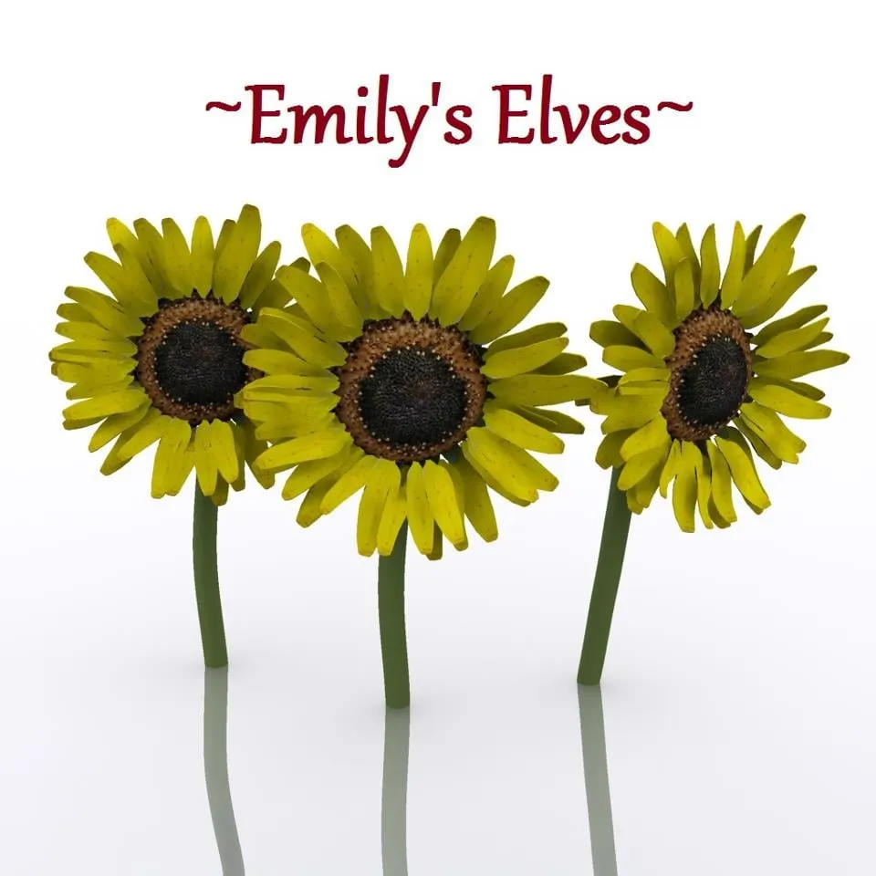 Local yard cleanup service near you in Hayesville, NC by Emily's Elves