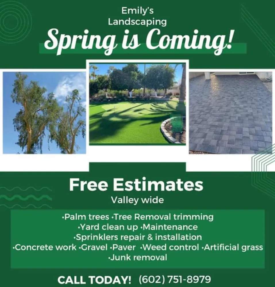 Top-rated yard maintenance experts serving Phoenix, AZ - Emily's Landscaping