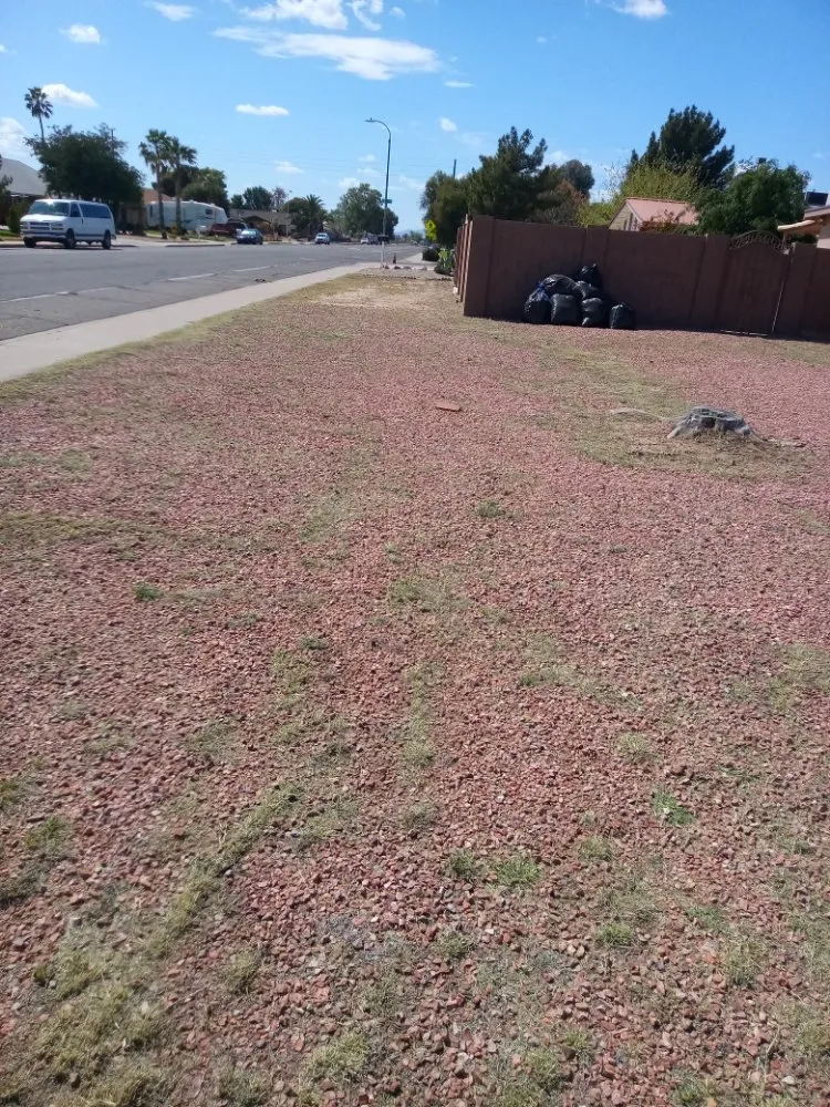 Expert garden landscaping near you in Phoenix, AZ by Emily's Landscaping