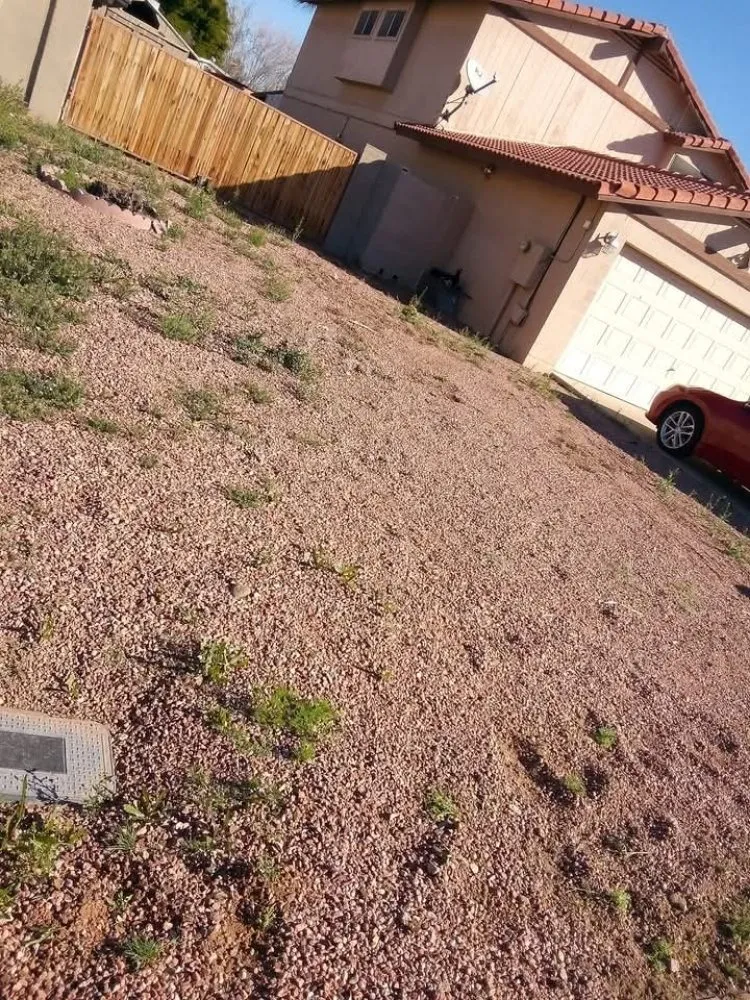 Trusted garden landscaping for beautiful yards in Phoenix, AZ by Emily's Landscaping