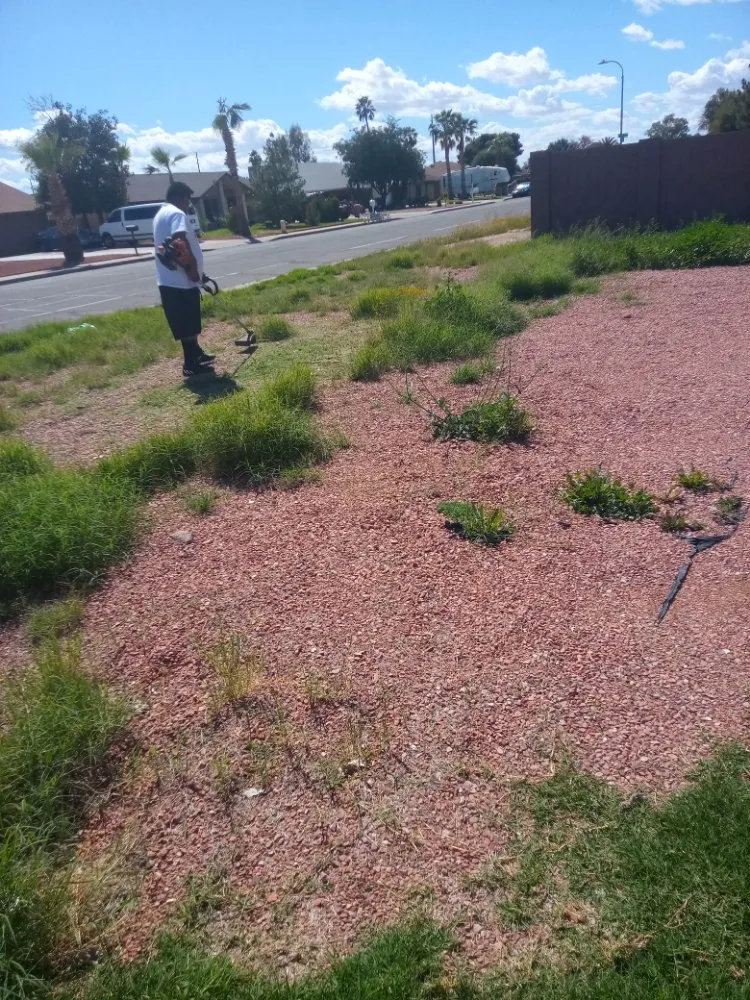 Top-rated landscape design for beautiful yards in Phoenix, AZ by Emily's Landscaping