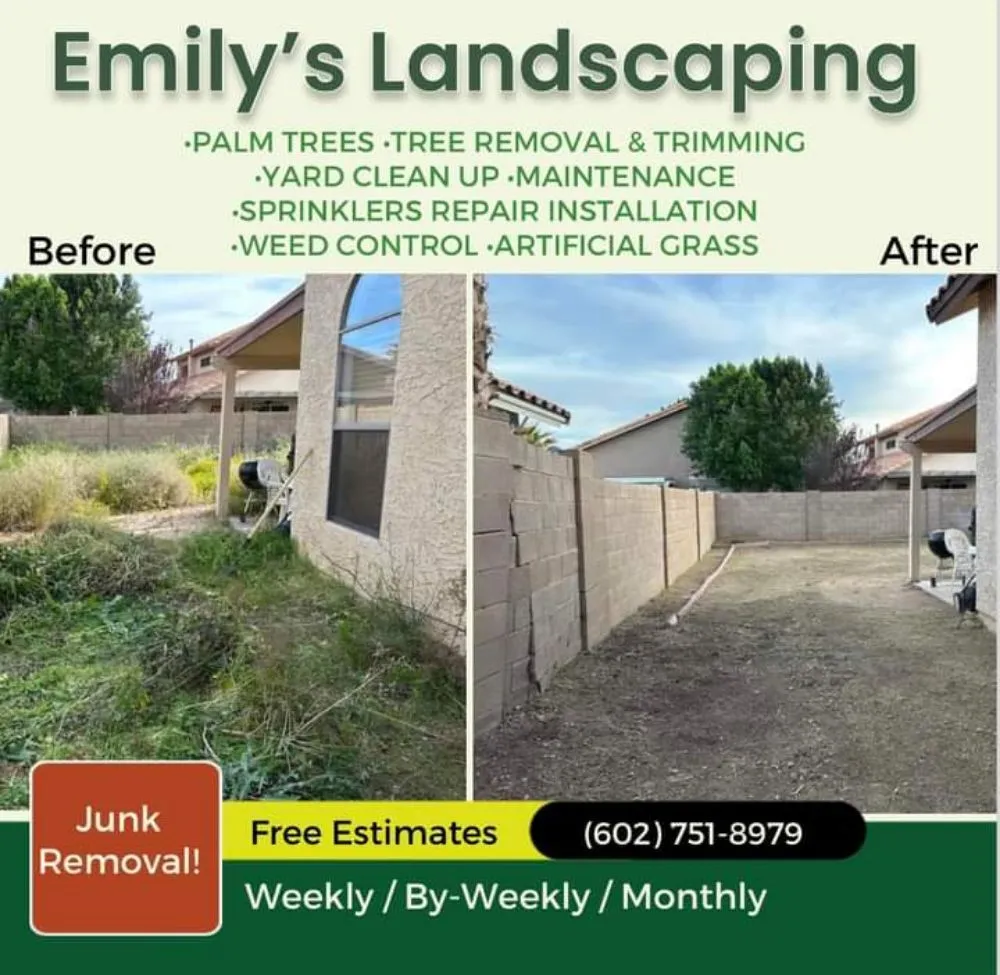 Custom landscaping services for year-round maintenance in Phoenix, AZ by Emily's Landscaping