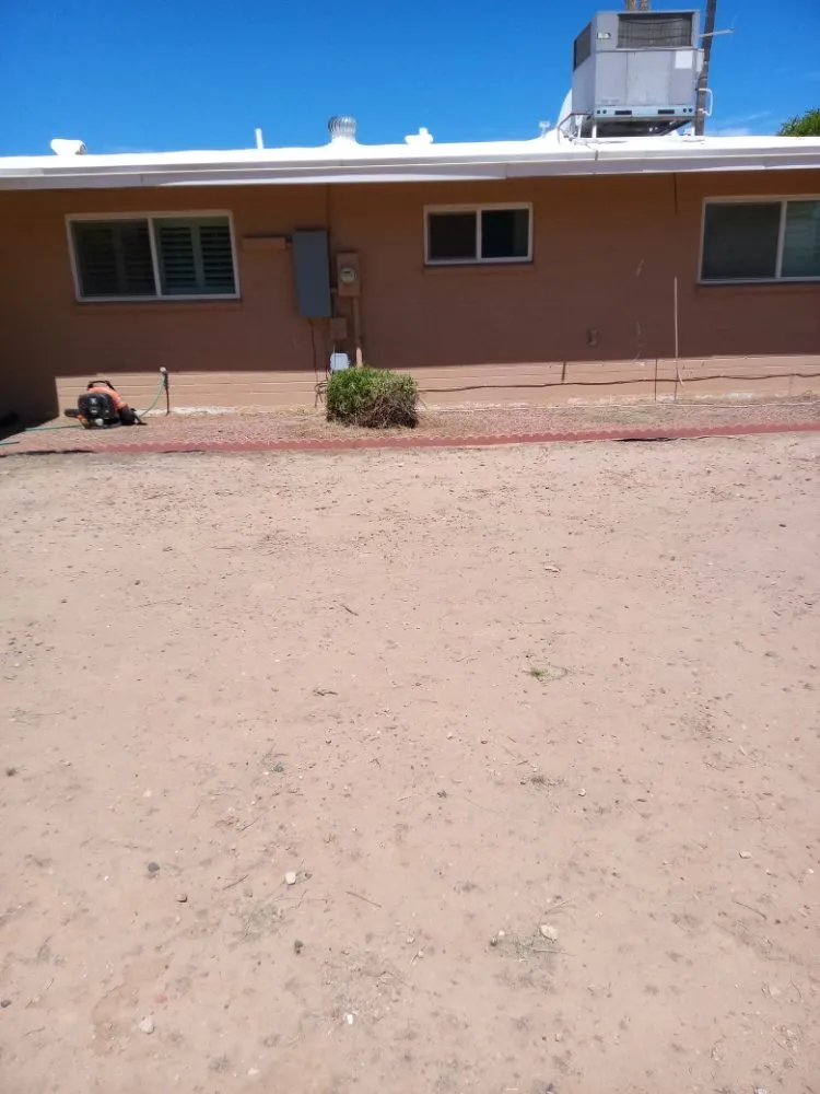 Trusted landscaping services in Phoenix, AZ - Emily's Landscaping