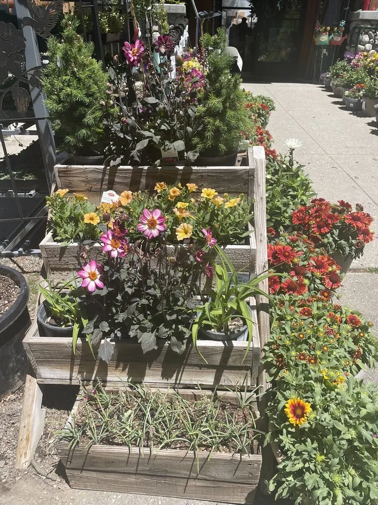 Affordable landscape design for year-round maintenance in Big Bear Lake, CA by Emingers Mountain Nursery