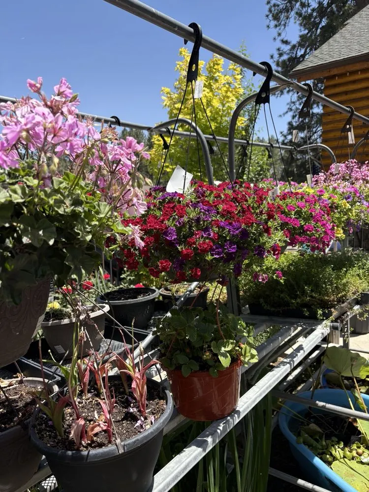 Expert landscape installation experts serving Big Bear Lake, CA - Emingers Mountain Nursery