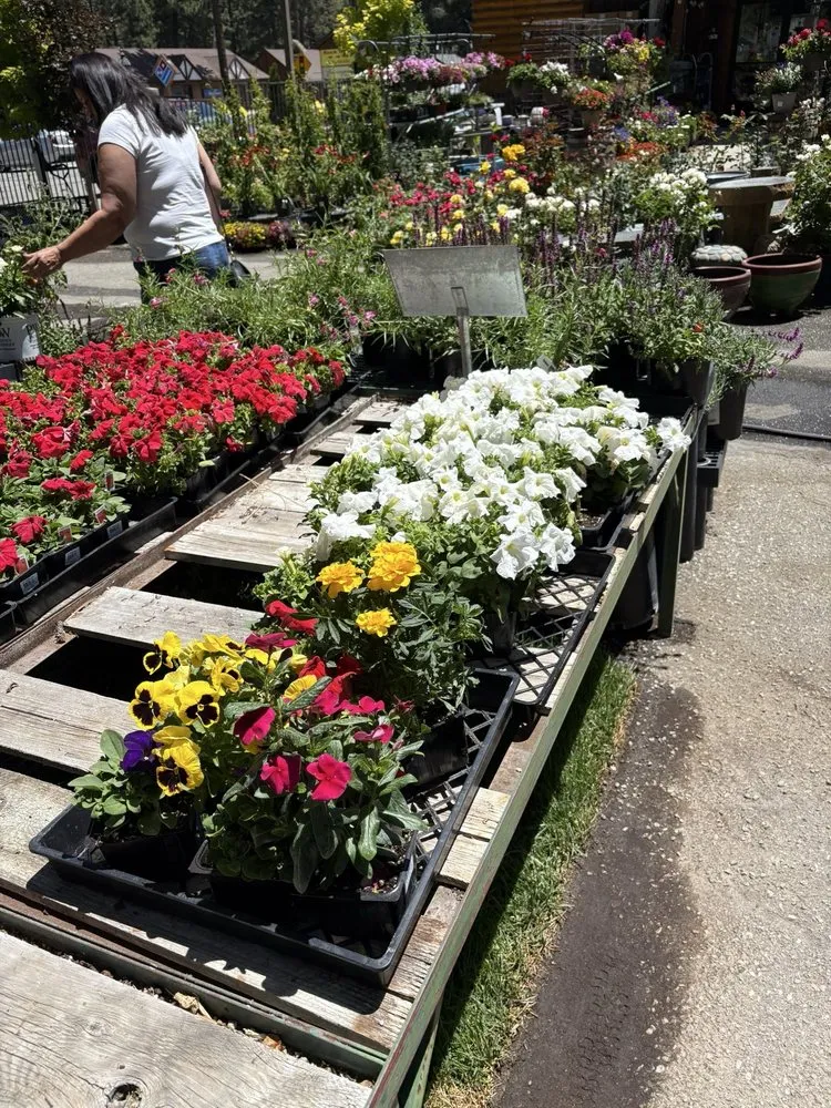 Trusted landscape design for year-round maintenance across Big Bear Lake, CA - Emingers Mountain Nursery