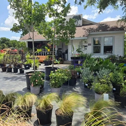 Local lawn mowing service for beautiful yards across Hillsboro, TX - Emissary Nursery & Landscape