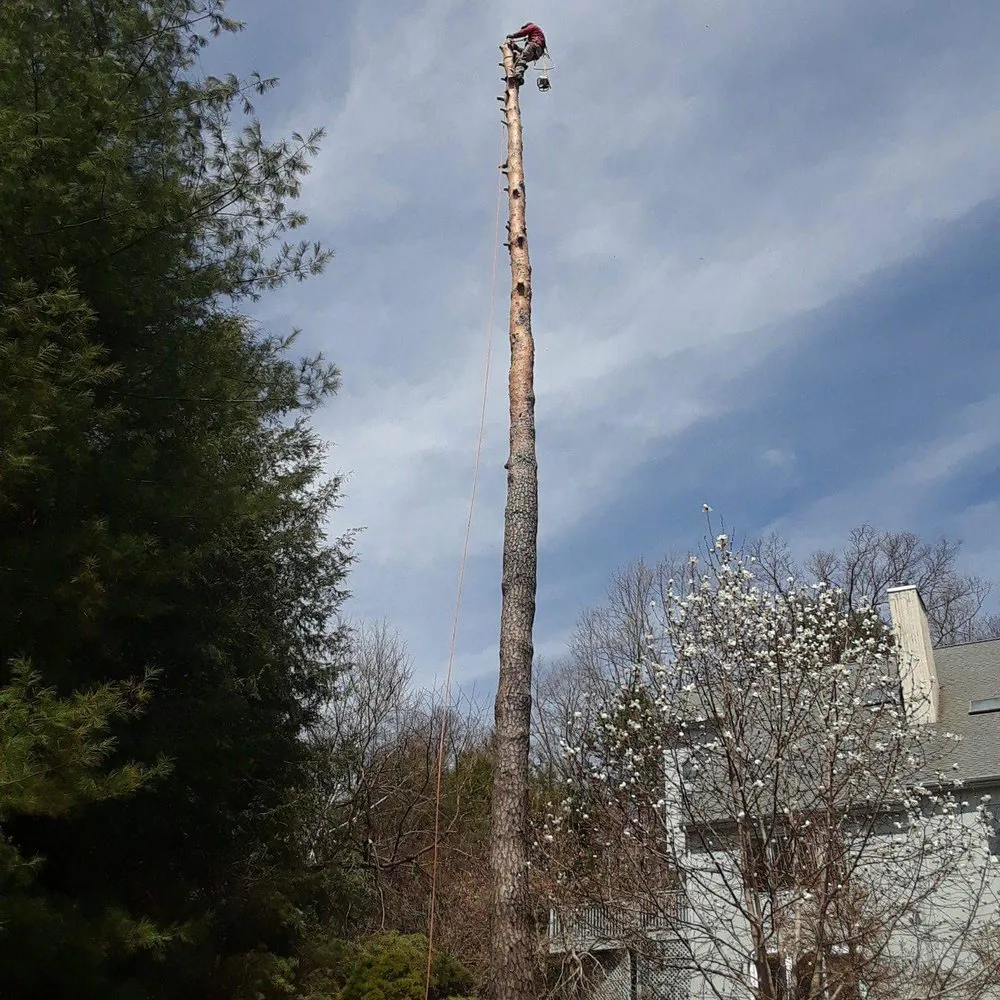 Local yard cleanup service experts serving Bethel, CT - EML Services