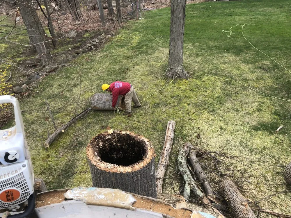 Reliable lawn care service in Bethel, CT by EML Services