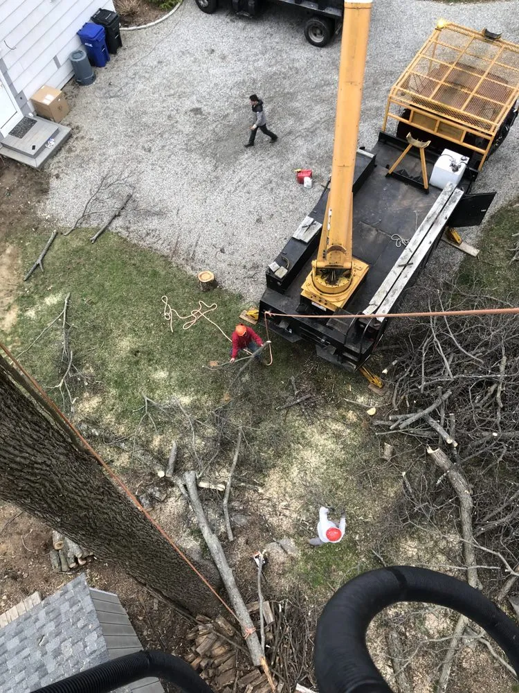 Top-rated yard maintenance for year-round maintenance in Bethel, CT by EML Services