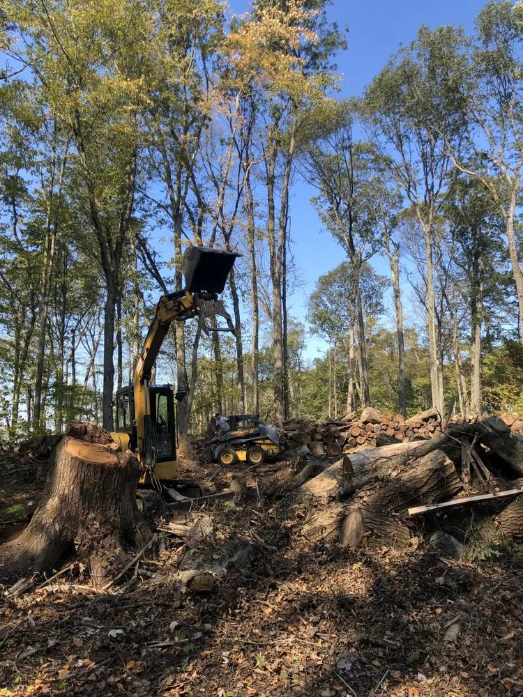 Expert lawn care service experts serving Bethel, CT - EML Services