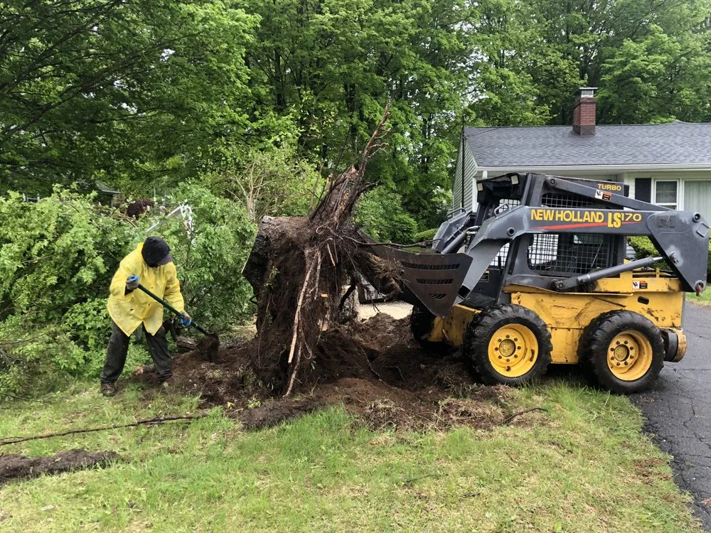 Reliable lawn care service in Bethel, CT by EML Services