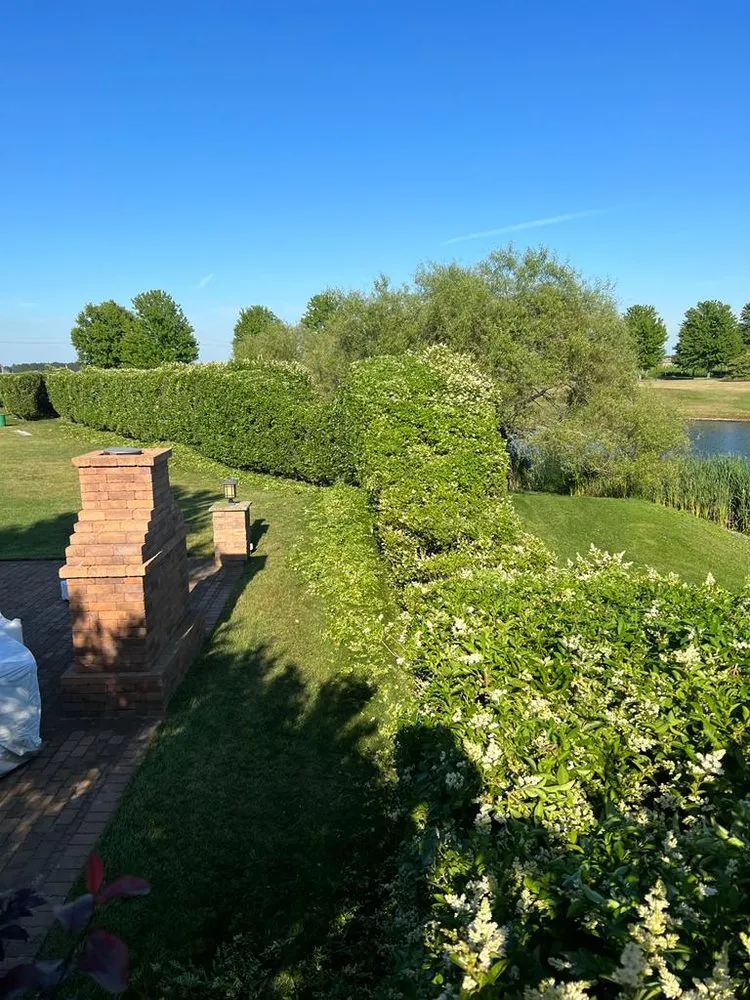 Top-rated yard cleanup service with custom design in Port Jefferson Station, NY by Emma Landscaping