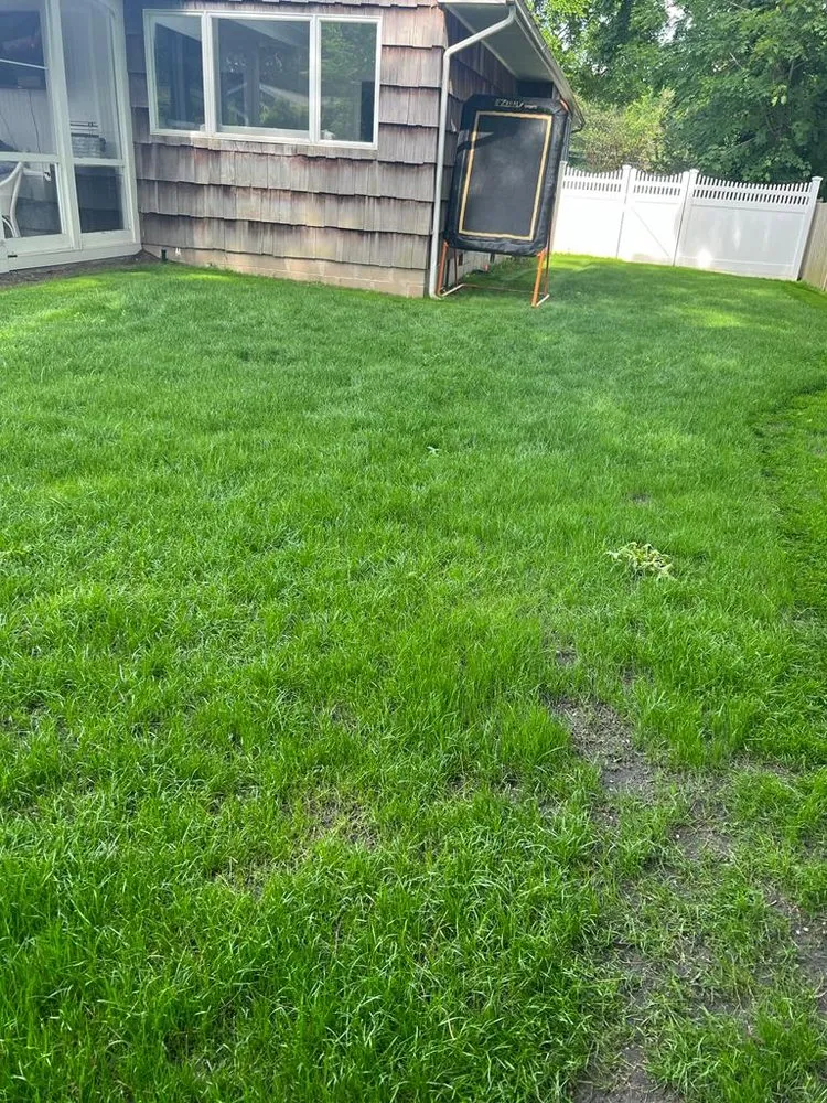 Affordable yard maintenance near you across Port Jefferson Station, NY - Emma Landscaping