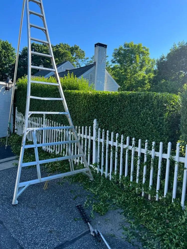 Reliable lawn mowing service experts serving Port Jefferson Station, NY - Emma Landscaping