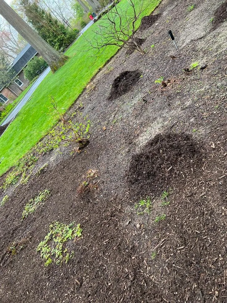 Local landscaping services for homes in Port Jefferson Station, NY by Emma Landscaping