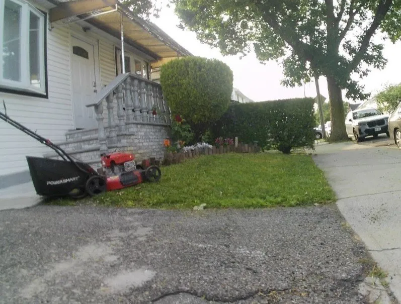 Affordable landscaping services experts serving Queens, NY - Emmans Lawn And Roof Cleaning