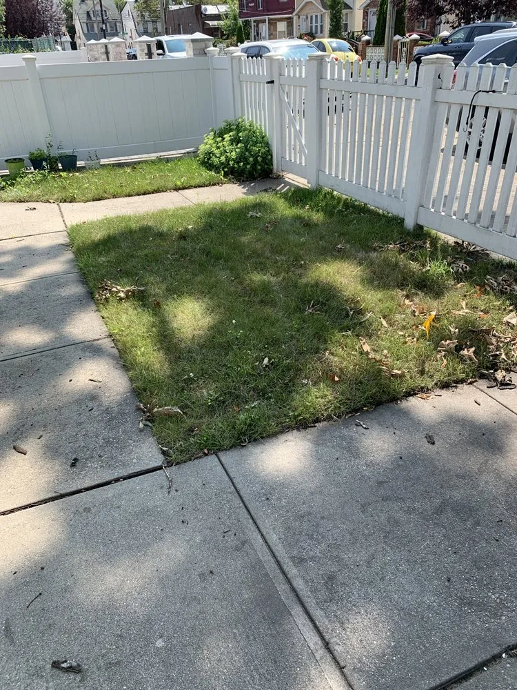 Expert yard cleanup service in Queens, NY - Emmans Lawn And Roof Cleaning