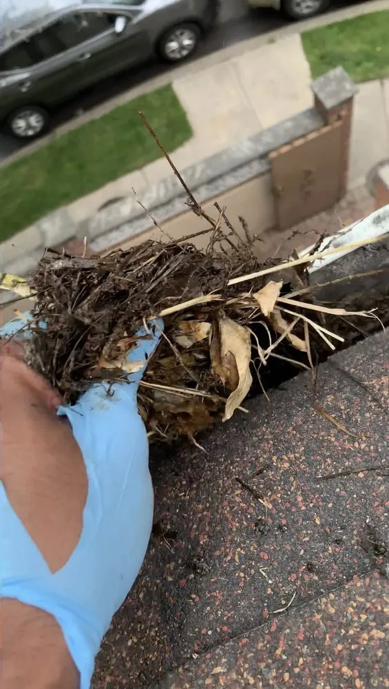 Local landscape design experts serving Queens, NY - Emmans Lawn And Roof Cleaning