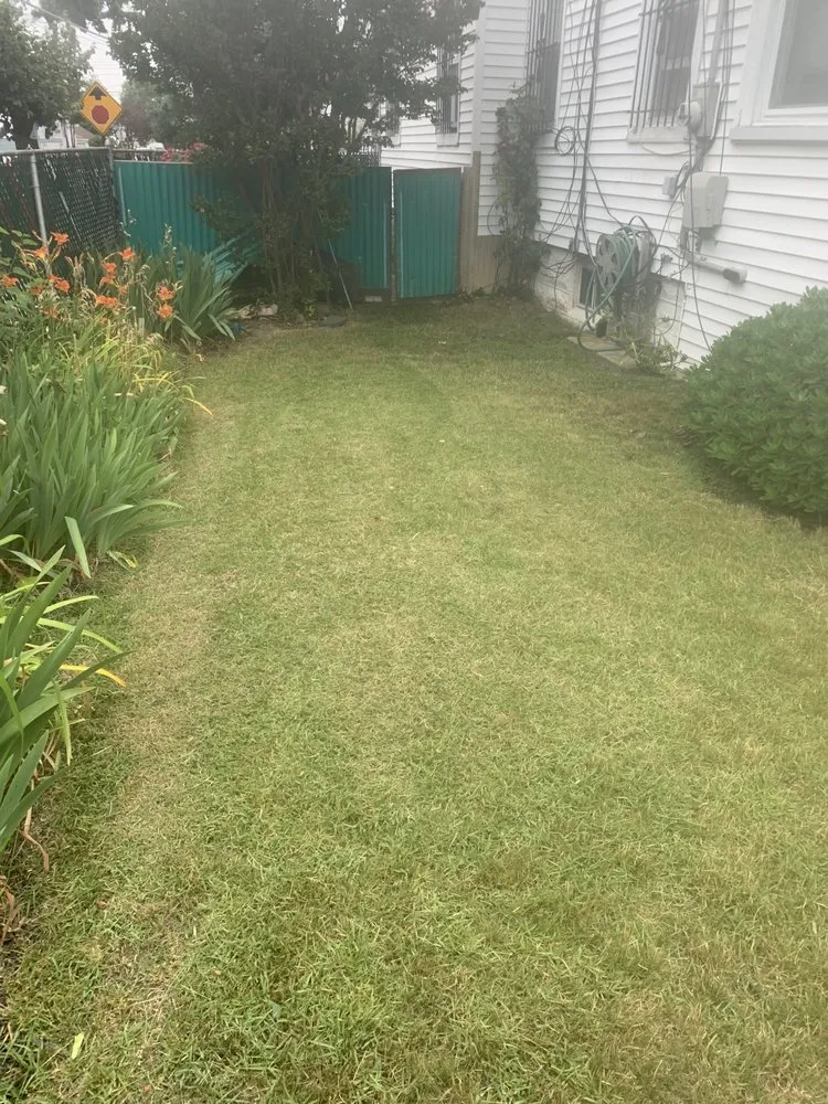 Expert landscape installation in Queens, NY by Emmans Lawn And Roof Cleaning