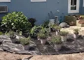 Trusted yard maintenance in Pensacola, FL by Emmanuel Hernández landscaping