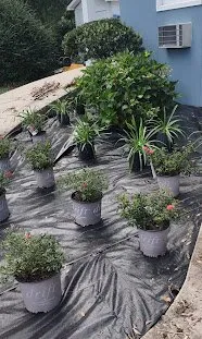 Affordable yard cleanup service in Pensacola, FL by Emmanuel Hernández landscaping