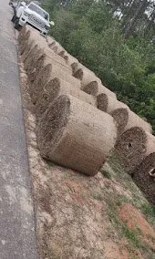 Local landscape installation in Pensacola, FL - Emmanuel Hernández landscaping