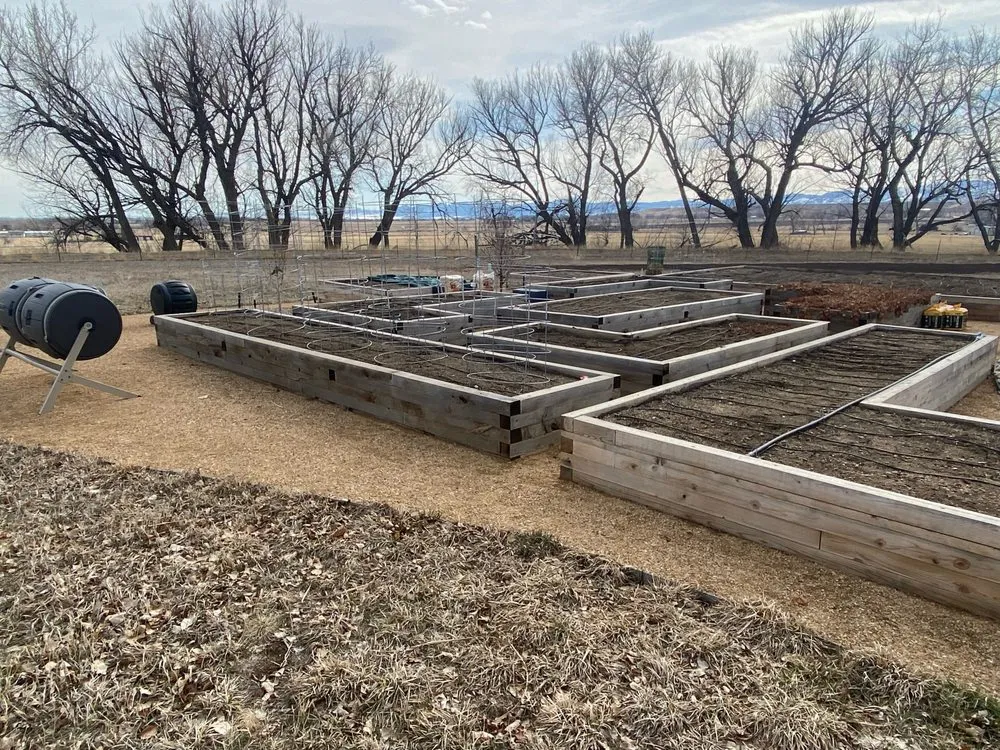 Trusted yard maintenance in Longmont, CO - Emmanuel Landscape & Lawn Service