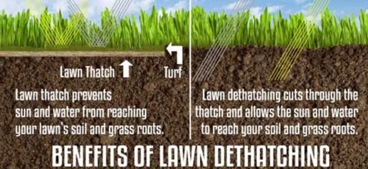 Custom yard maintenance near you in York, PA by Emmanuel Landscape