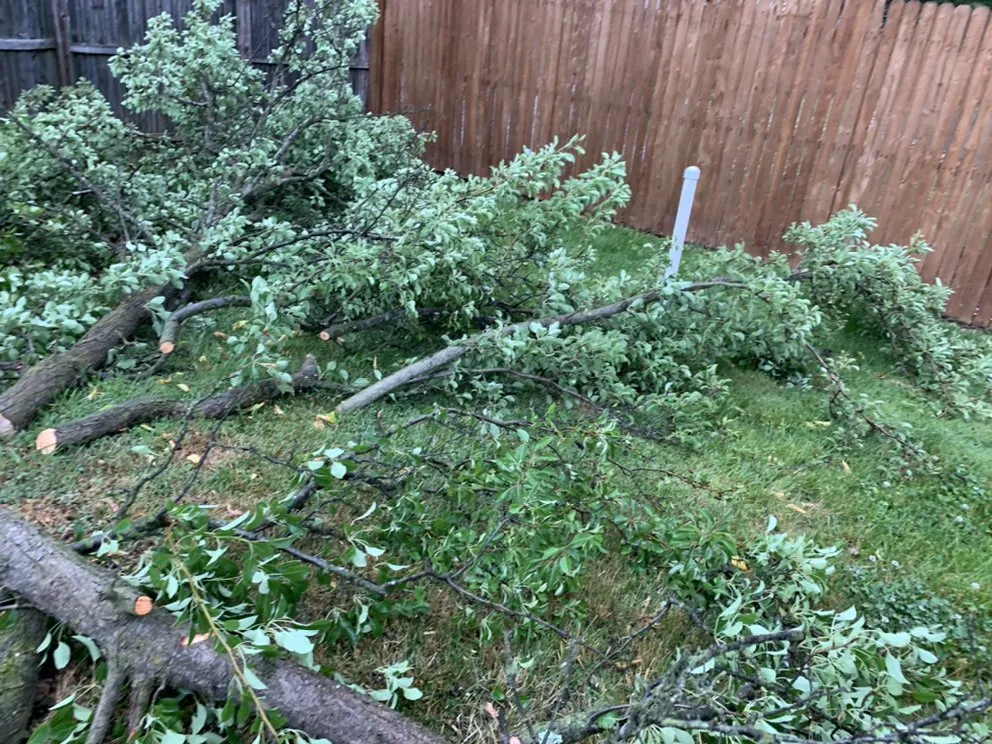 Local landscaping services experts serving York, PA - Emmanuel Landscape