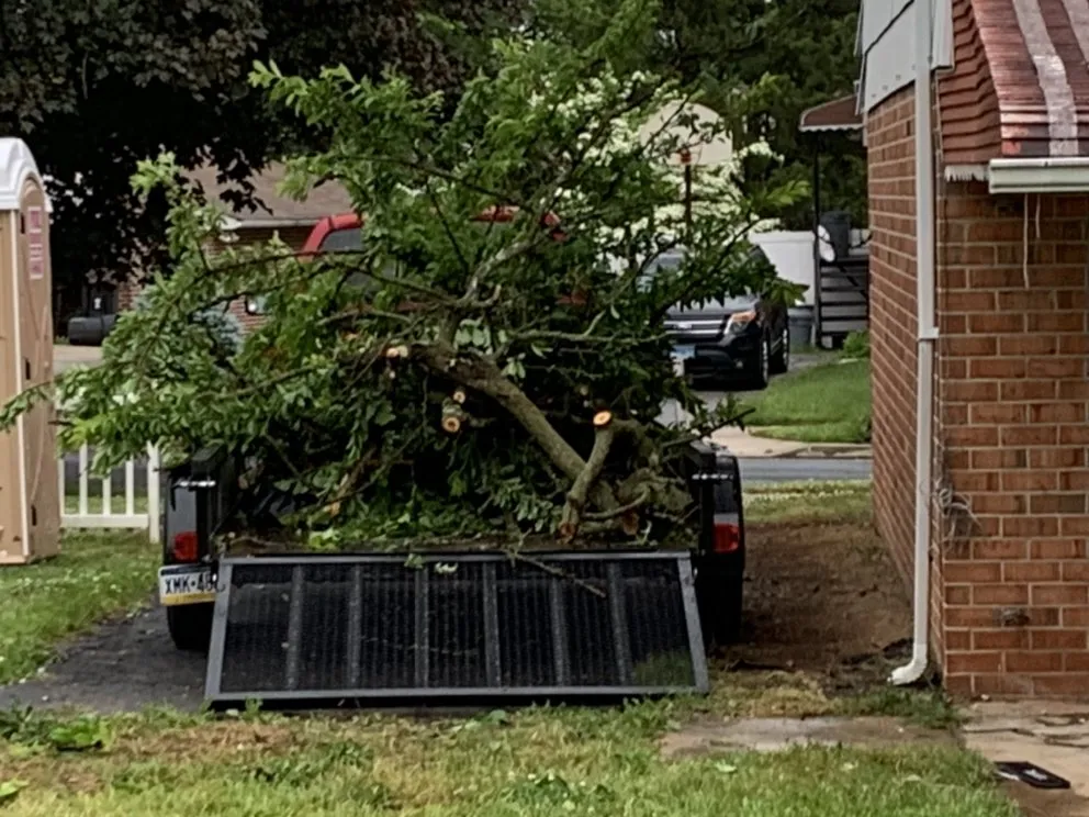 Affordable yard cleanup service near you in York, PA by Emmanuel Landscape