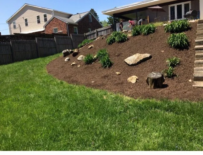 Trusted lawn care service near you in York, PA by Emmanuel Landscape