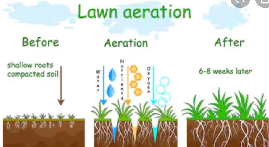 Professional landscape installation for homes across York, PA - Emmanuel Landscape