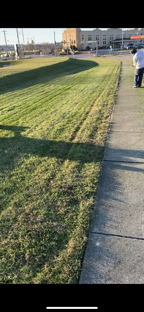 Affordable yard cleanup service for homes across York, PA - Emmanuel Landscape